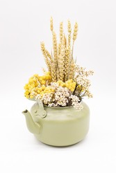 Espiga trigo seca natural - Flores secas online