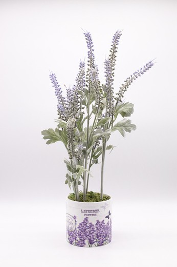 Flores de lavanda em vaso