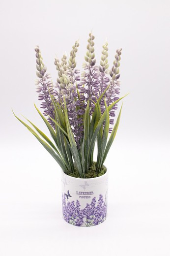 Flores de lavanda en maceta de cerámica