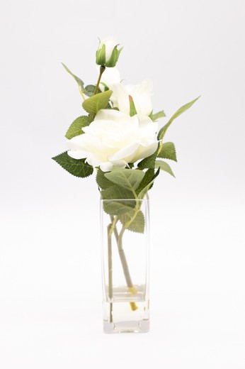 Jarrón con dos elegantes rosas blancas