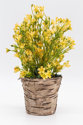 Pot de fleurs avec des fleurs sauvages jaunes