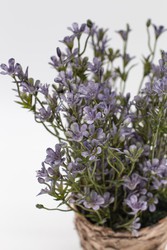 Maceta con flores silvestres lilas — Oh!MyFlor