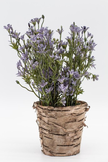 Maceta con flores silvestres lilas