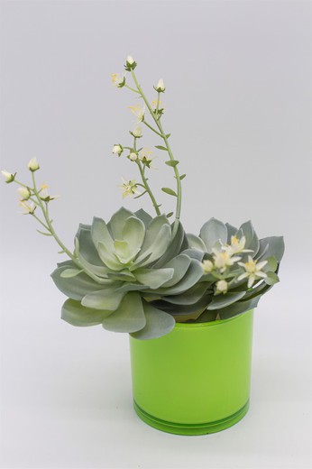 Floreira redonda com echeveria.