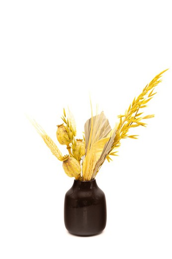 Design floral moderne avec fleurs séchées dans un vase en céramique marron