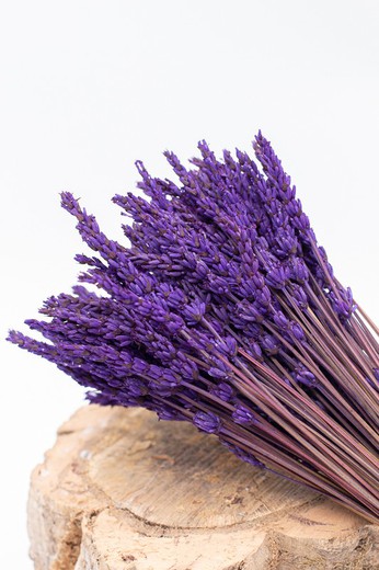 100pcs Flor Lavanda Seca Natural Decorativa Ramilletes - Temu