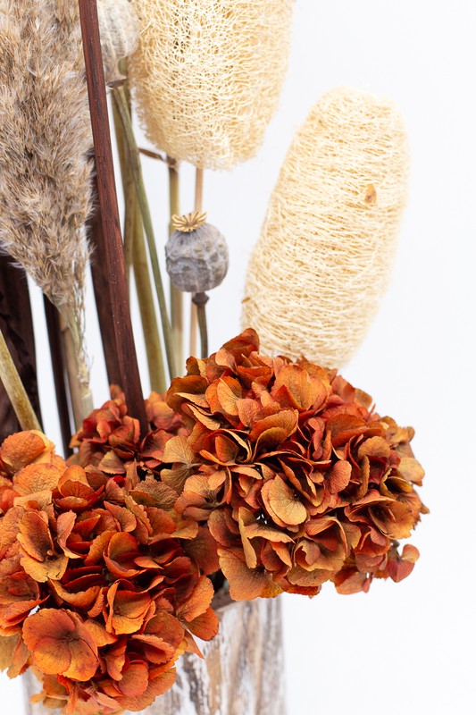 Centro alto de flores secas, preservadas y pampas en color Natural y Marrón  — Oh!MyFlor