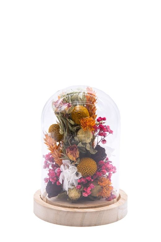 Cúpula de cristal modelo Melysa con floressecas y flores preservadas de colores muy vivos