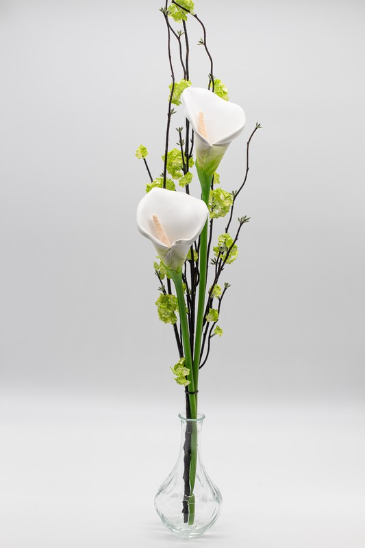 Elegante diseño floral con ramas florales y calas de color blanco. —  Oh!MyFlor