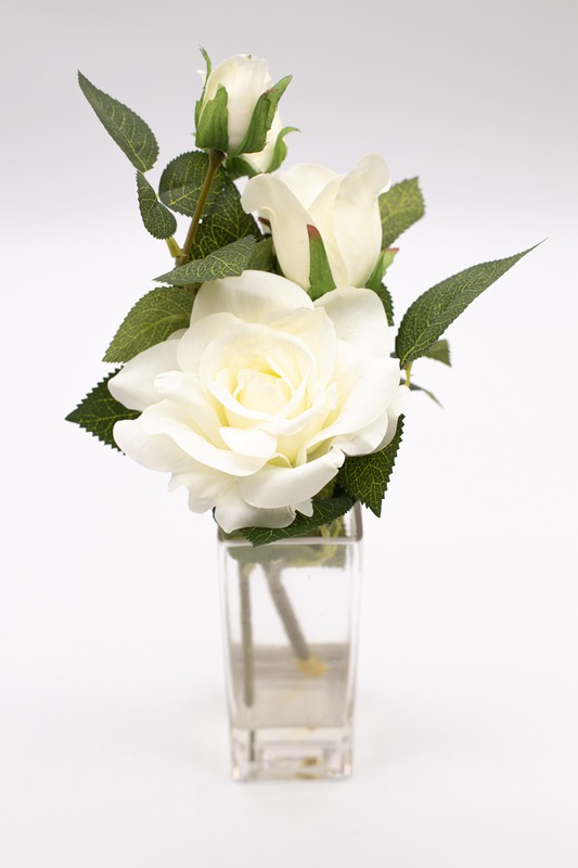 Jarrón con dos elegantes rosas blancas — Oh!MyFlor