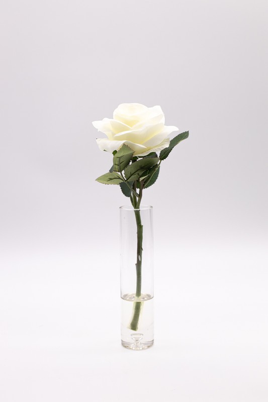 Vase avec une élégante rose blanche — Oh!MyFlor