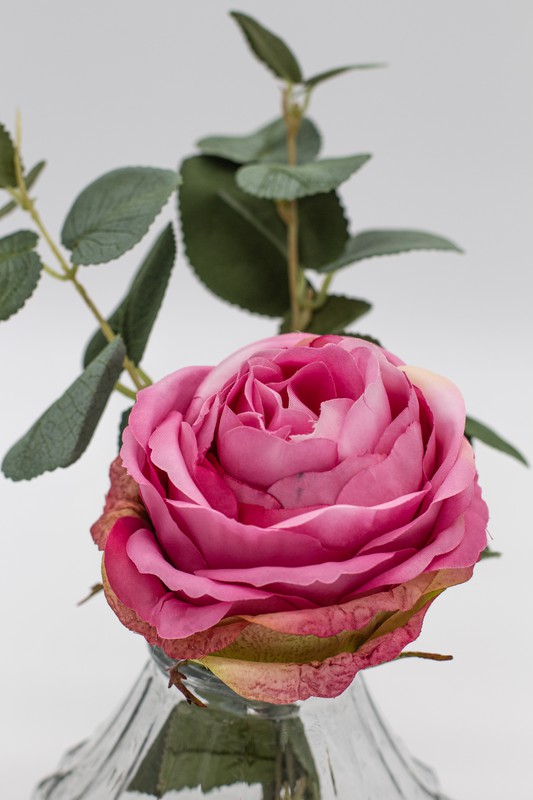 Romántico diseño floral con rosa inglesa rosa intenso en jarrón romántico —  Oh!MyFlor