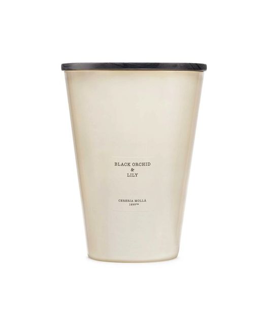 Vela Premium XXL de 3,5Kg. Black Orchid & Lily. Colección Boutique CERERIA MOLLA 1899. Handmade. +/- 200 horas