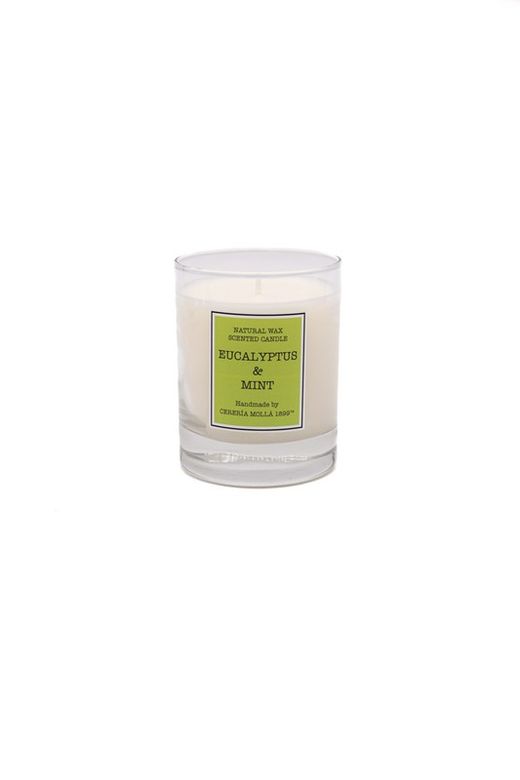 Vela Santiago 50horas. Eucalyptus & Mint. Colección Santiago CERERIA MOLLA 1899.